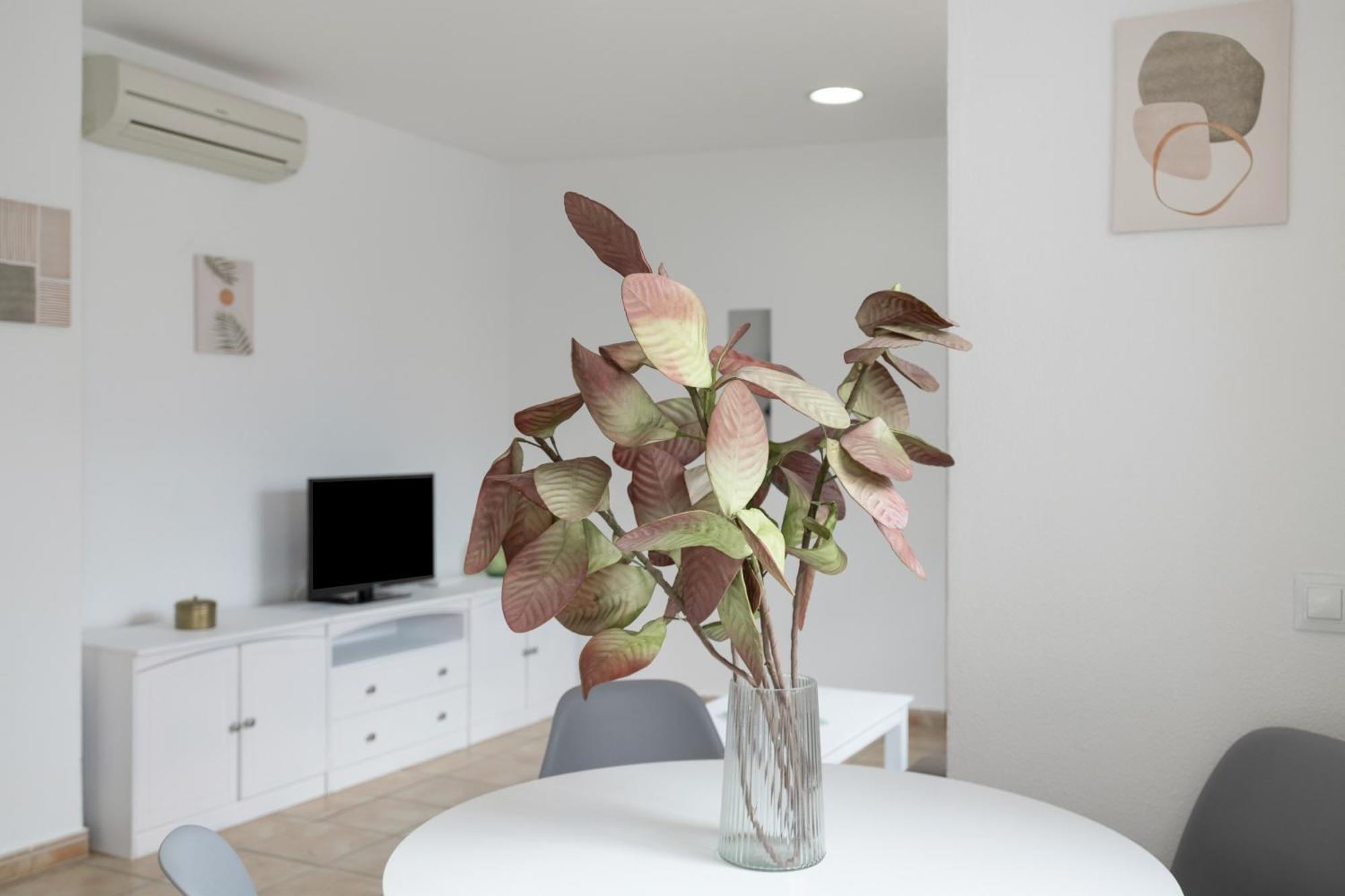 Apartamento Perez Zara 4 Conil De La Frontera Εξωτερικό φωτογραφία